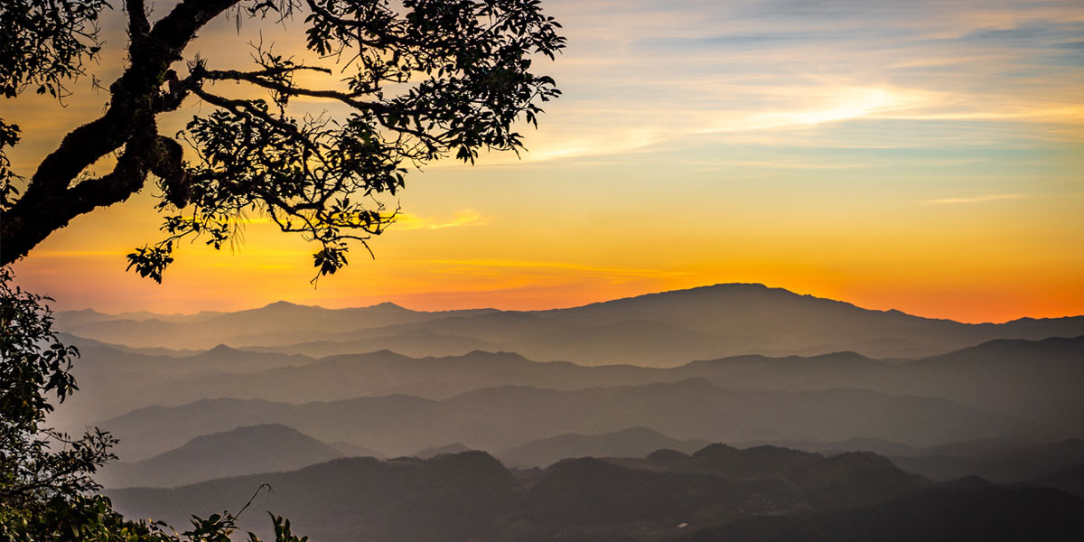 Sabedoria e discernimento do Reino 